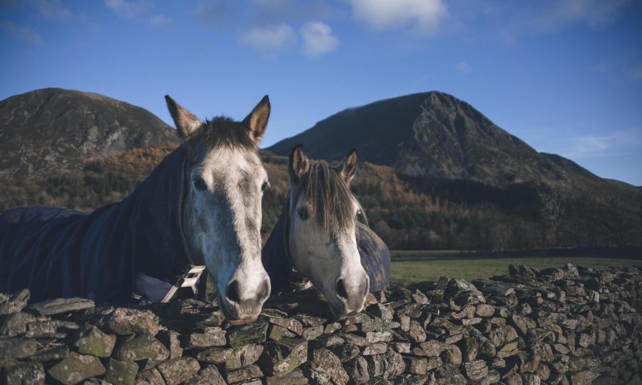 Cedar Nook Villa Loweswater ภายนอก รูปภาพ